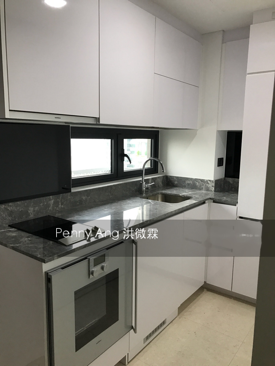 Robinson Suites (D1), Apartment #136334672